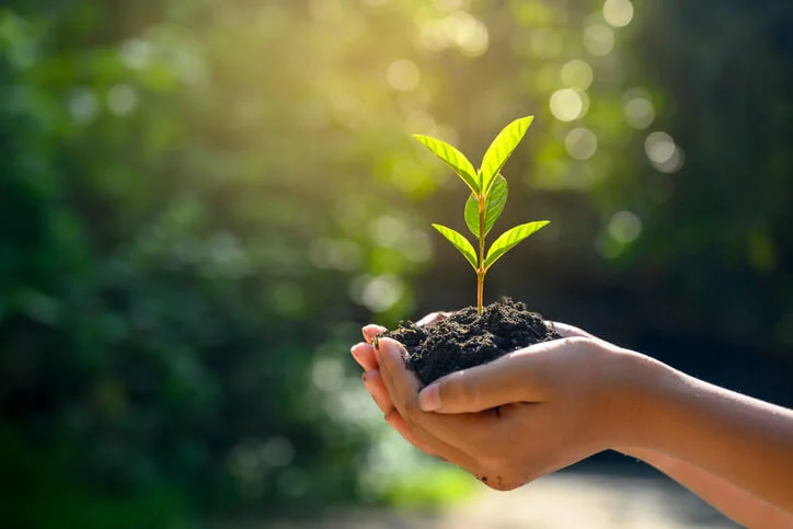 Sustainability at Eskimo