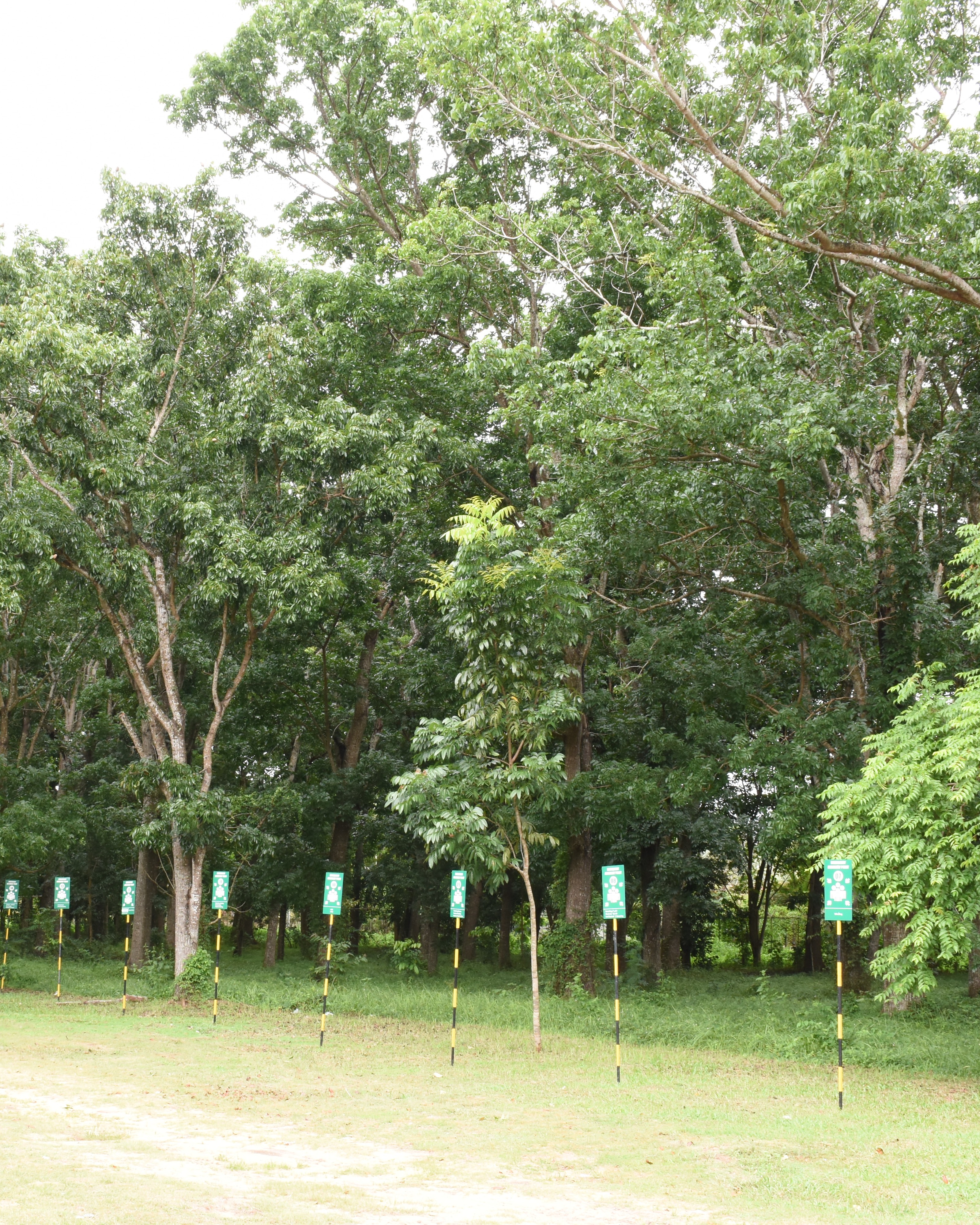Effluent treatment tanks at the Negombo facility